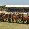 D75_9254.JPG