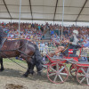Titanen_klein1G9A2887.jpg