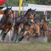 Titanen_klein1G9A3990.jpg