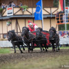 164A7441-2.jpg
