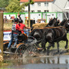 D50_5959.JPG