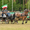 D50_7307.JPG