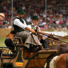 D50_7497.JPG