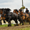 D50_7935.JPG