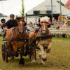 D71_5640.jpg