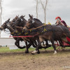 DSCF8381.jpg