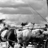 DSC_2691.JPG
