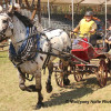 IMG_2383.jpg