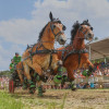 Titanen_klein1G9A3140.jpg