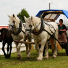 D71_4844.jpg