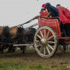 DSCF8474.jpg
