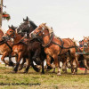 IMG_3991-2.jpg