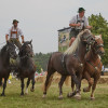 Titanen_klein1G9A2357.jpg