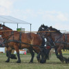 Titanen_klein1G9A3954.jpg