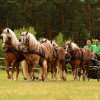 D71_4983.jpg