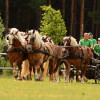 D71_5030.jpg