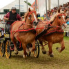 D71_5614.jpg