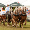 D71_5799.jpg
