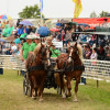 D71_7017.jpg