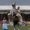 DSCF7775.jpg