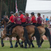 DSCF7876.jpg