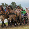 DSCF8132.jpg