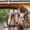 DSC_5352.jpg