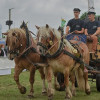 DSC_5802.jpg
