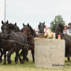 DSC_7176.jpg