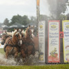DSC_7412.jpg
