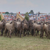 Titanen_klein5S3A6794.jpg