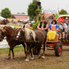 D71_7013.jpg