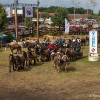 DSCF8334.jpg
