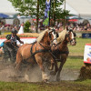 DSC_1616.JPG