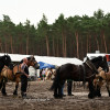 DSC_9839.JPG