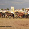 IMG_3756.jpg