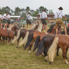 Titanen_klein1G9A2365.jpg
