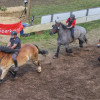 Titanen_klein1G9A3329.jpg