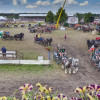 Titanen_klein1G9A3398.jpg