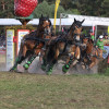 Titanen_klein1G9A3992.jpg